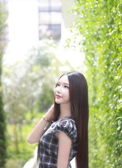 Baifern - escort in Bangkok Photo 8 of 12