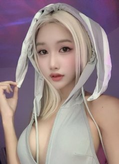 Baifern - escort in Bangkok Photo 1 of 25