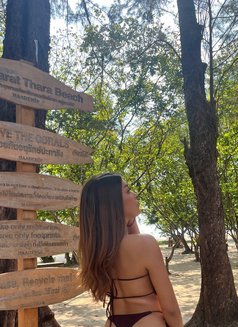 Baikao - Transsexual escort in Krabi Photo 5 of 5