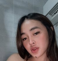 Bailey - Transsexual escort in Manila
