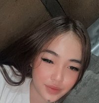 Bailey - Transsexual escort in Manila
