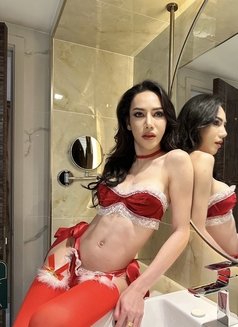 Hung Both Top - Transsexual escort in Bangkok Photo 7 of 30