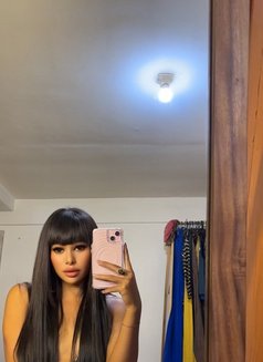 Balqis - Transsexual escort in Bali Photo 4 of 6