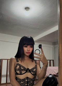 Balqis - Acompañantes transexual in Bali Photo 8 of 9