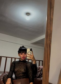 Balqis - Acompañantes transexual in Bali Photo 9 of 9