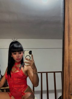 Balqis - Transsexual escort in Bali Photo 6 of 9