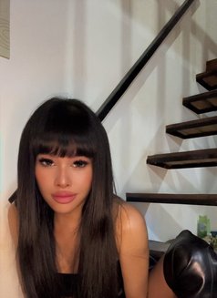 Balqis - Transsexual escort in Bali Photo 5 of 11
