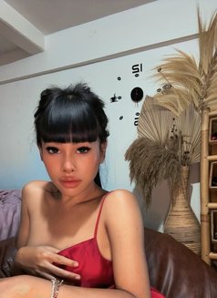 Balqis - Transsexual escort in Bali Photo 7 of 11