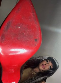 Balqis - Transsexual escort in Bali Photo 10 of 11