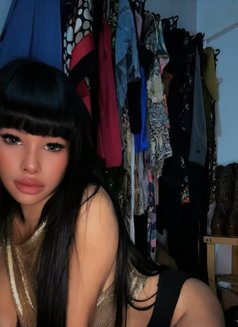 Balqis - Transsexual escort in Bali Photo 11 of 15