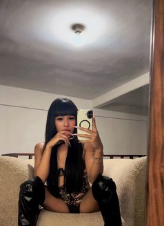 Balqis - Transsexual escort in Bali Photo 12 of 15