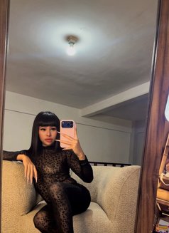 Balqis - Transsexual escort in Bali Photo 15 of 15