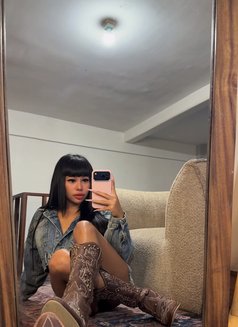 Balqis - Transsexual escort in Bali Photo 15 of 17