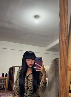 Balqis - Transsexual escort in Bali Photo 20 of 21