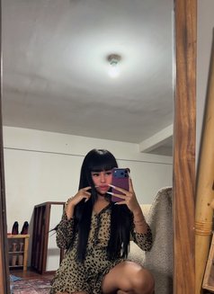 Balqis - Transsexual escort in Bali Photo 21 of 21