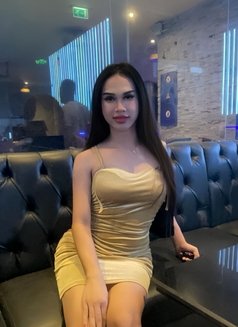 Bam Bam New Ladyboy in Ad - masseuse in Abu Dhabi Photo 4 of 4