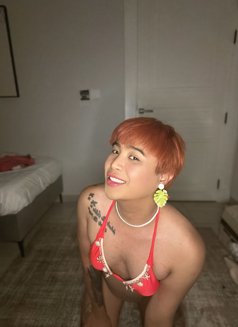 Bamba🇵🇭 - Acompañantes transexual in Riyadh Photo 2 of 4