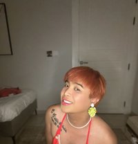 Bamba🇵🇭 - Transsexual escort in Riyadh