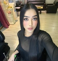 Bambam new ladyboy in Riyadh - Transsexual escort in Riyadh