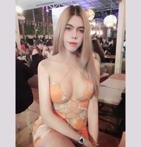 Vivi - Transsexual escort in Johor Bahru