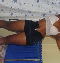 Bambi - Transsexual escort in Nairobi
