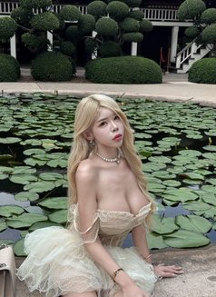 Bammy Kiss - escort in Bangkok Photo 22 of 23