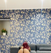 Bands - escort in Johannesburg