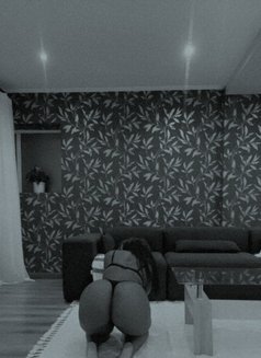 Bands - puta in Johannesburg Photo 3 of 3