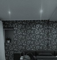 Bands - escort in Johannesburg