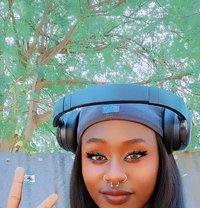 Banton - Transsexual escort in Nairobi
