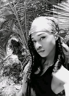 Banton - Acompañantes transexual in Nairobi Photo 3 of 7