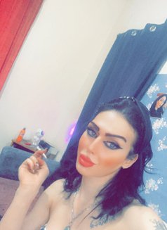 Baraa - Transsexual escort in Beirut Photo 3 of 5