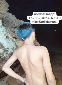 Baraa Milk - Male escort in Bali Photo 5 of 6