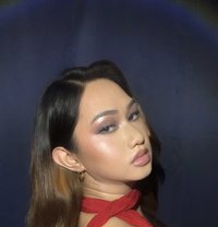 Barbara - Acompañantes transexual in Makati City