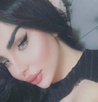 Barbe - Acompañantes transexual in Erbil