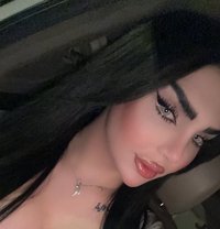 Barbe - Transsexual escort in Erbil