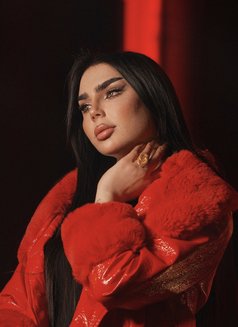 Barbe - Transsexual escort in Erbil Photo 6 of 12