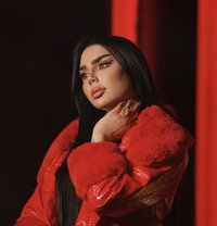 Barbe - Transsexual escort in Erbil