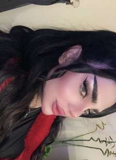 Barbe - Transsexual escort in Erbil Photo 7 of 12