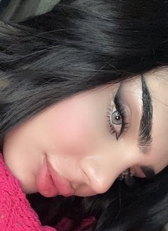 Barbe - Transsexual escort in Erbil Photo 12 of 12