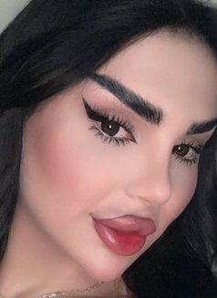 Barbe - Transsexual escort in Erbil Photo 15 of 16