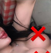 Barbe - Transsexual escort in Erbil