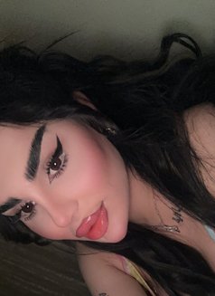 Barbe - Transsexual escort in Erbil Photo 14 of 14