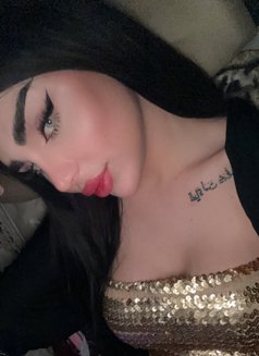 Barbe - Transsexual escort in Erbil Photo 7 of 12
