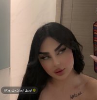 Barbe - Transsexual escort in Erbil