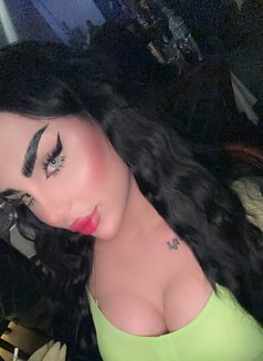 Barbe - Transsexual escort in Erbil Photo 11 of 12