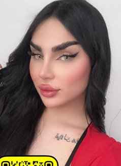 Barbe - Transsexual escort in Erbil Photo 12 of 12