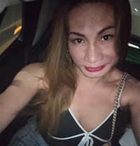 Barbie Arm - Transsexual escort in Cebu City