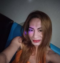 Barbie Arm - Transsexual escort in Cebu City