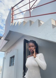 Barbie D - escort in Lomé Photo 1 of 1